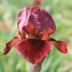 IRIS Quechee image 0