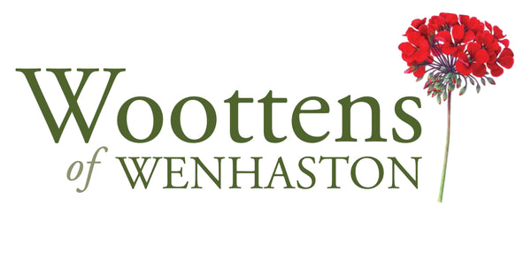 Woottens of Wenhaston