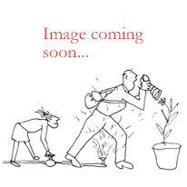 IRIS Benton Apollo image 0