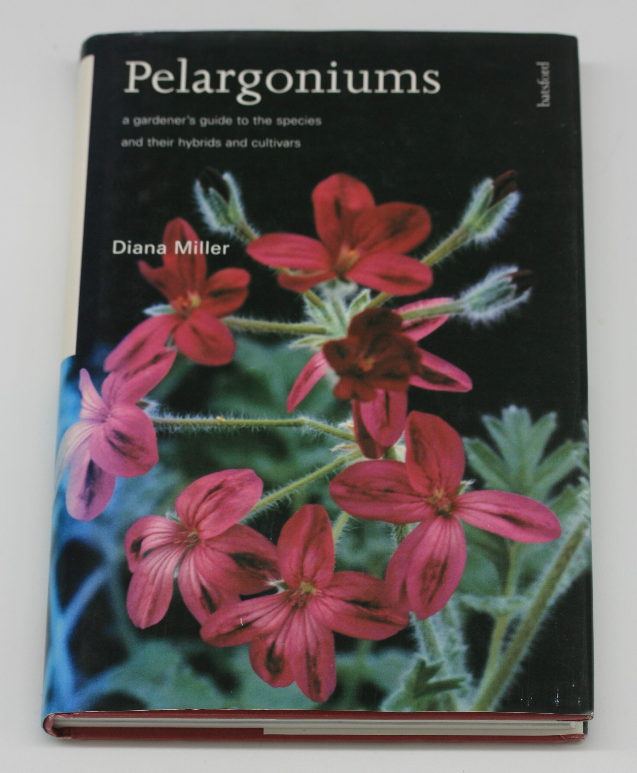 Pelargoniums　Woottens　Diana　Miller　by　BOOKS　Plants